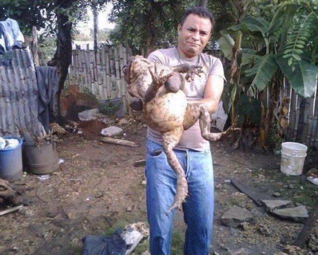 daily picdump 95 pics 39.html - 95 HD Photos | Premium Gallery 2017