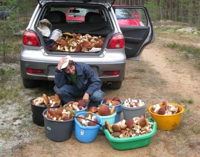 daily picdump 95 pics 39.html - 95 HD Photos | Premium Gallery 2017