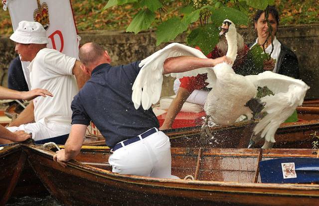 daily picdump 95 pics 39.html - 95 HD Photos | Premium Gallery 2017