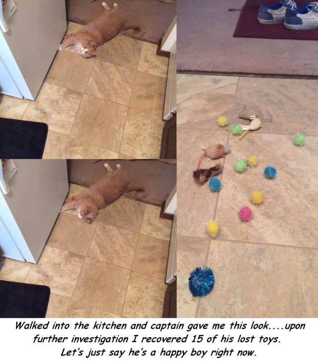 daily picdump 95 pics 39.html - 95 HD Photos | Premium Gallery 2017