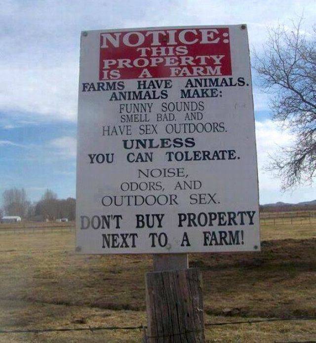 daily picdump 95 pics 39.html - 95 HD Photos | Premium Gallery 2017