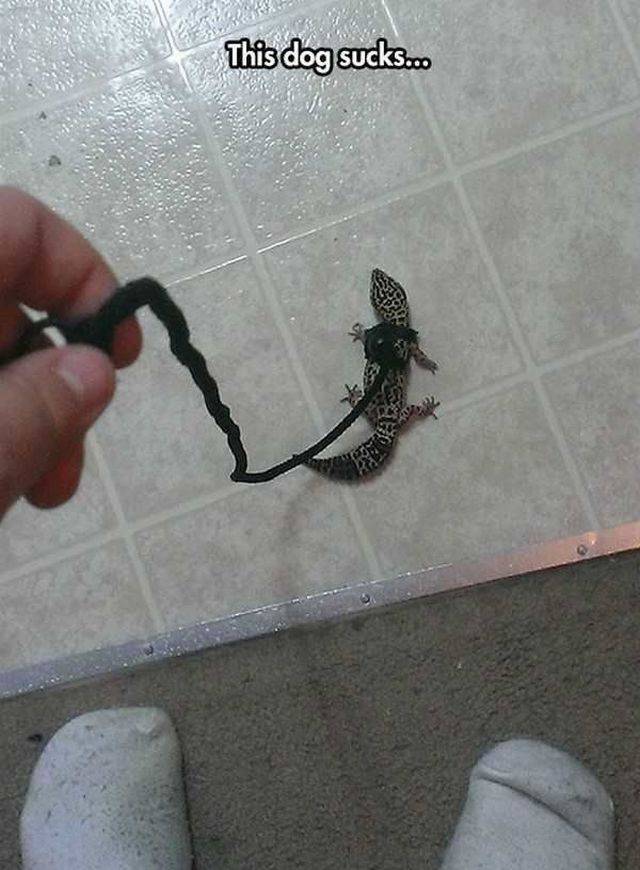 daily picdump 95 pics 39.html - 95 HD Photos | Premium Gallery 2017