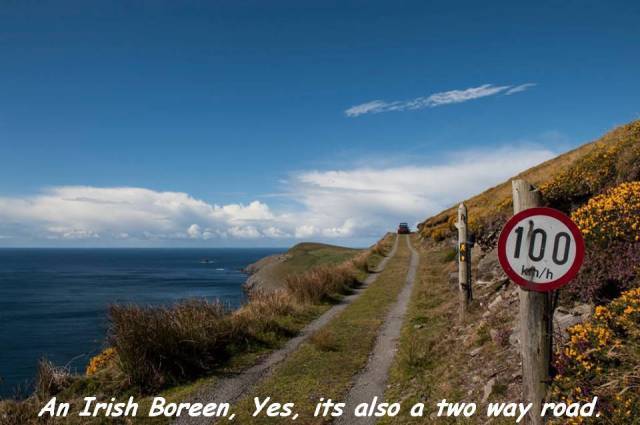 daily picdump 96 pics 31.html - 96 HD Photos | Premium Gallery 2017