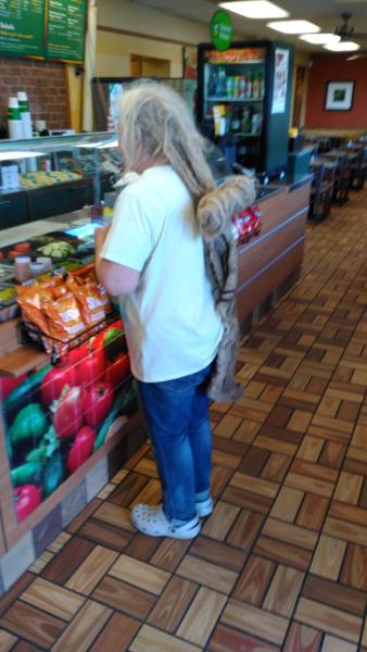 daily picdump 96 pics 31.html - 96 HD Photos | Premium Gallery 2017