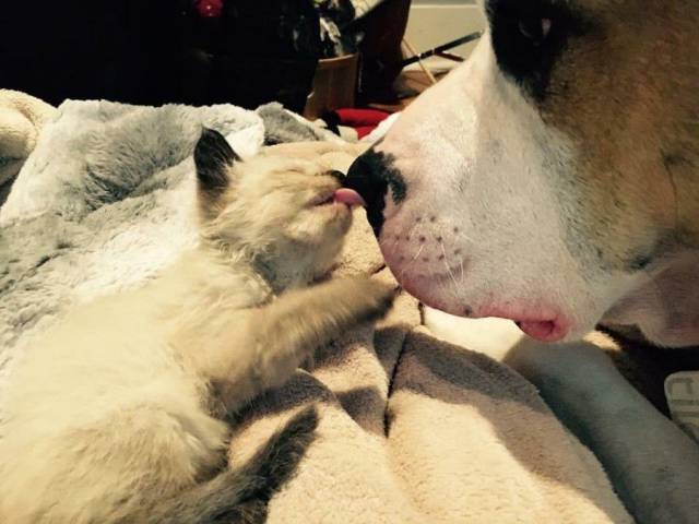 daily picdump 96 pics 31.html - 96 HD Photos | Premium Gallery 2017