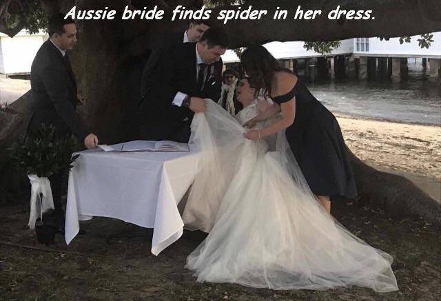 daily picdump 96 pics 31.html - 96 HD Photos | Premium Gallery 2017