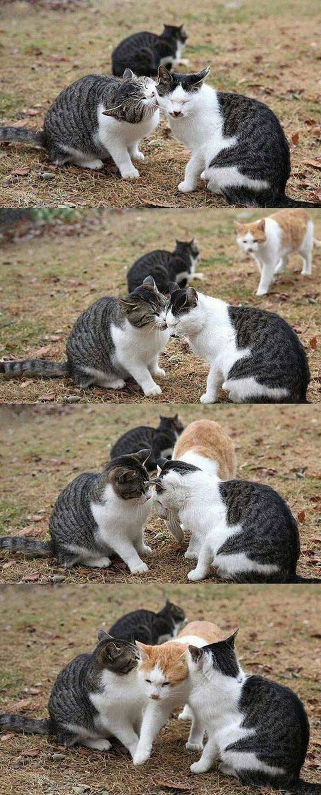 daily picdump 96 pics 31.html - 96 HD Photos | Premium Gallery 2017