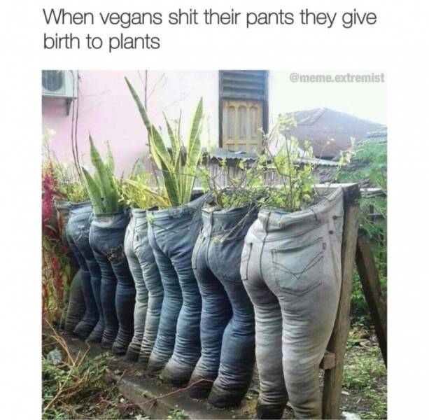 Get Ready For Some More Memes!