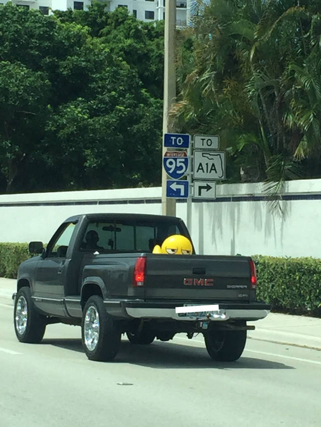 morning picdump 50 pics 17.html - 50 HD Photos | Premium Gallery 2017