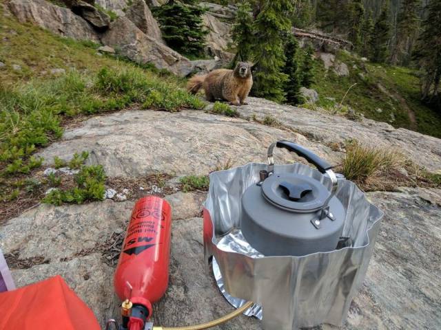 daily picdump 95 pics 33.html - 95 HD Photos | Premium Gallery 2017