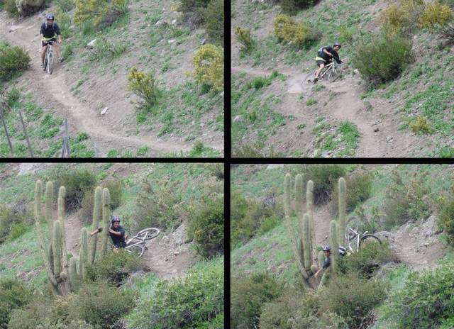 daily picdump 95 pics 33.html - 95 HD Photos | Premium Gallery 2017