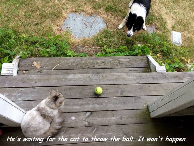 daily picdump 95 pics 33.html - 95 HD Photos | Premium Gallery 2017