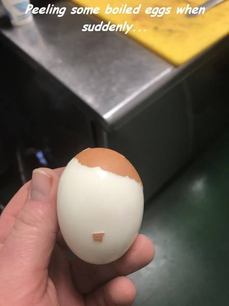 daily picdump 95 pics 33.html - 95 HD Photos | Premium Gallery 2017