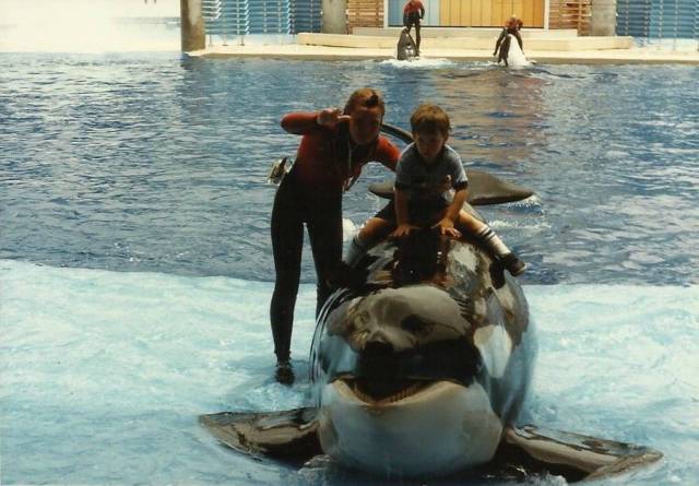 daily picdump 95 pics 33.html - 95 HD Photos | Premium Gallery 2017