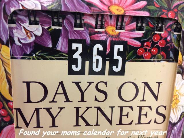 daily picdump 95 pics 33.html - 95 HD Photos | Premium Gallery 2017