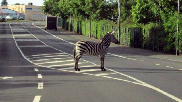 daily picdump 95 pics 33.html - 95 HD Photos | Premium Gallery 2017