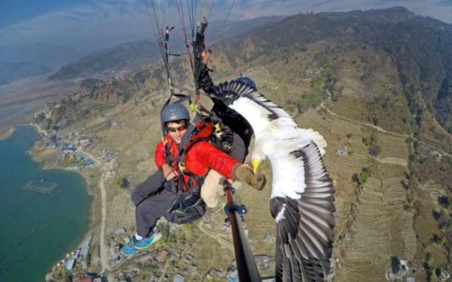 morning picdump 51 pics 12.html - 51 HD Photos | Premium Gallery 2017