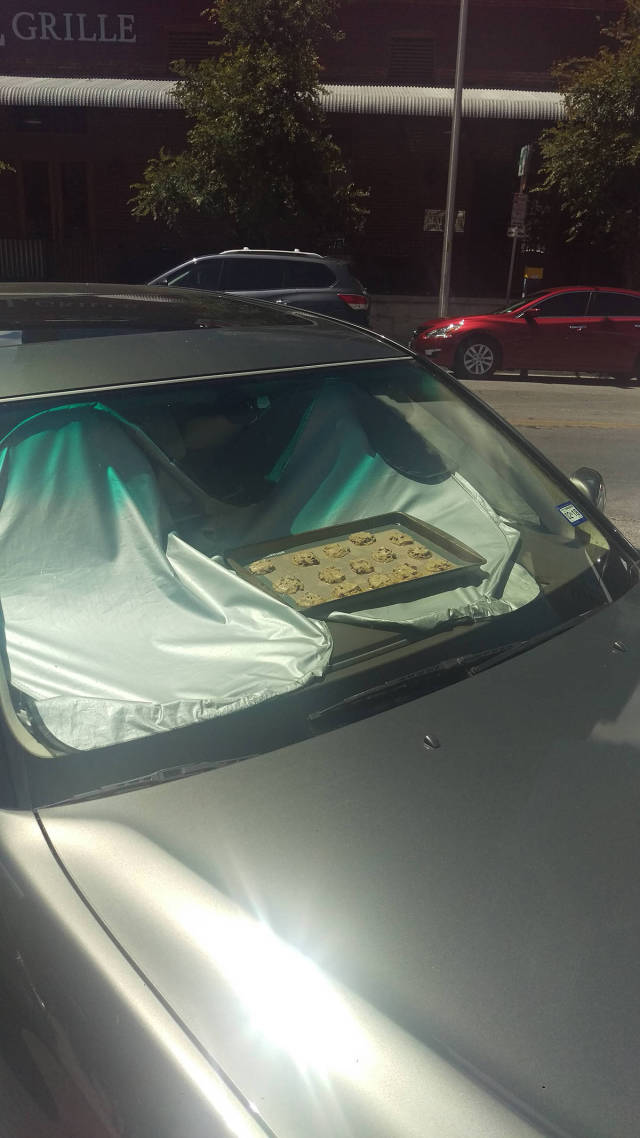 morning picdump 51 pics 12.html - 51 HD Photos | Premium Gallery 2017