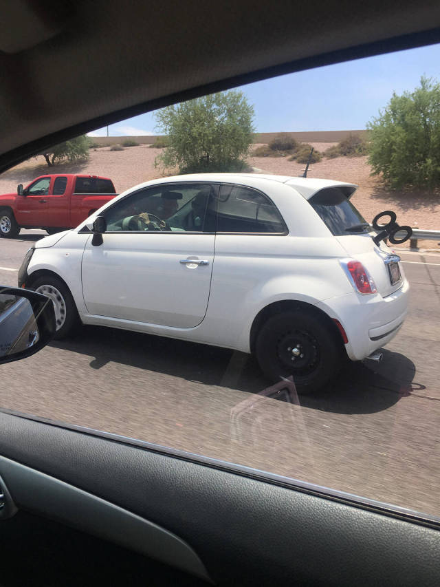 morning picdump 51 pics 12.html - 51 HD Photos | Premium Gallery 2017