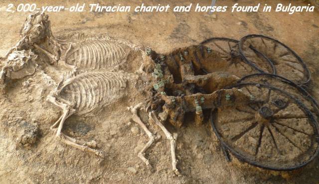 daily picdump 101 pics 40.html - 101 HD Photos | Premium Gallery 2017