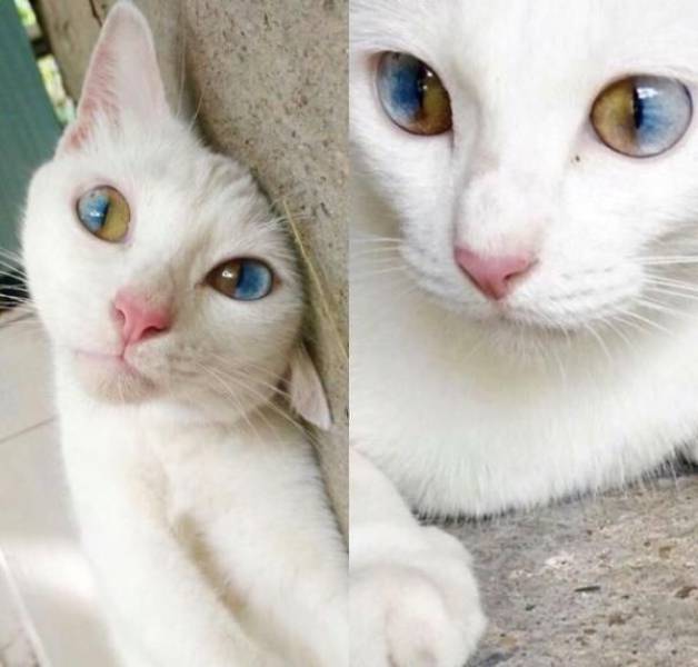 daily picdump 101 pics 40.html - 101 HD Photos | Premium Gallery 2017