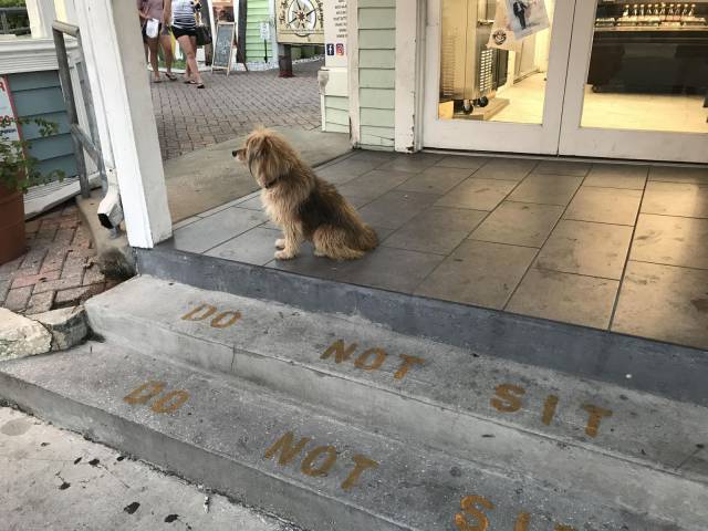 daily picdump 101 pics 40.html - 101 HD Photos | Premium Gallery 2017