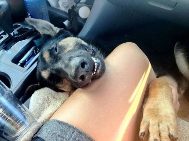 daily picdump 101 pics 40.html - 101 HD Photos | Premium Gallery 2017