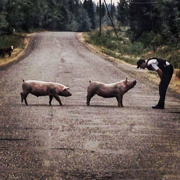 daily picdump 101 pics 40.html - 101 HD Photos | Premium Gallery 2017