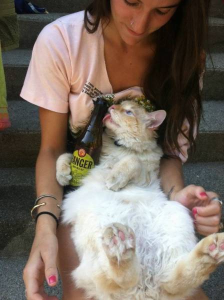 daily picdump 101 pics 40.html - 101 HD Photos | Premium Gallery 2017