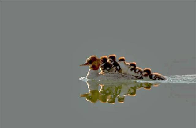 daily picdump 101 pics 40.html - 101 HD Photos | Premium Gallery 2017