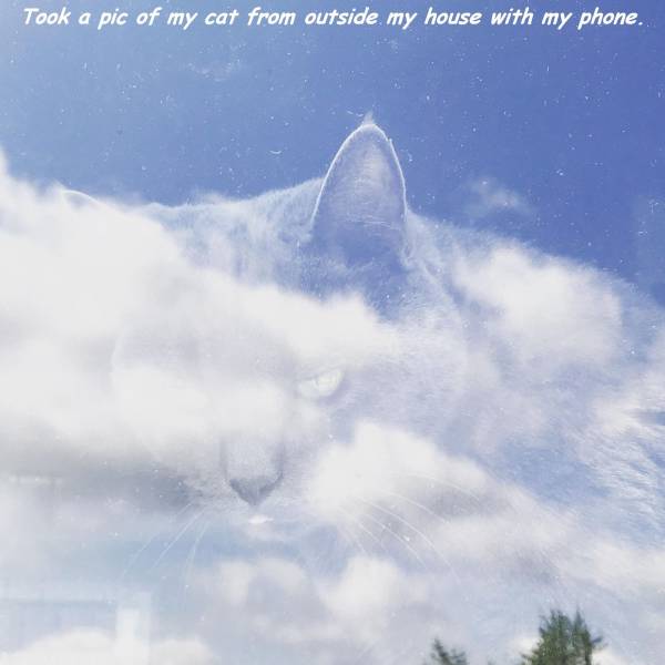 daily picdump 101 pics 40.html - 101 HD Photos | Premium Gallery 2017