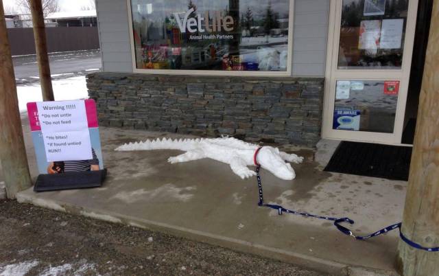 daily picdump 101 pics 40.html - 101 HD Photos | Premium Gallery 2017