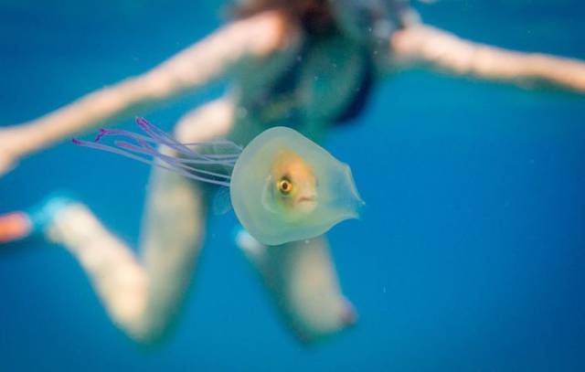 daily picdump 101 pics 40.html - 101 HD Photos | Premium Gallery 2017