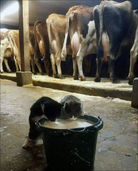 daily picdump 101 pics 40.html - 101 HD Photos | Premium Gallery 2017