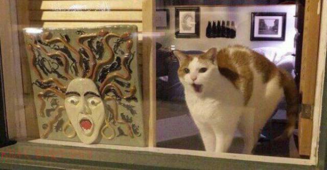 Daily Picdump [WEEKEND EDITION]