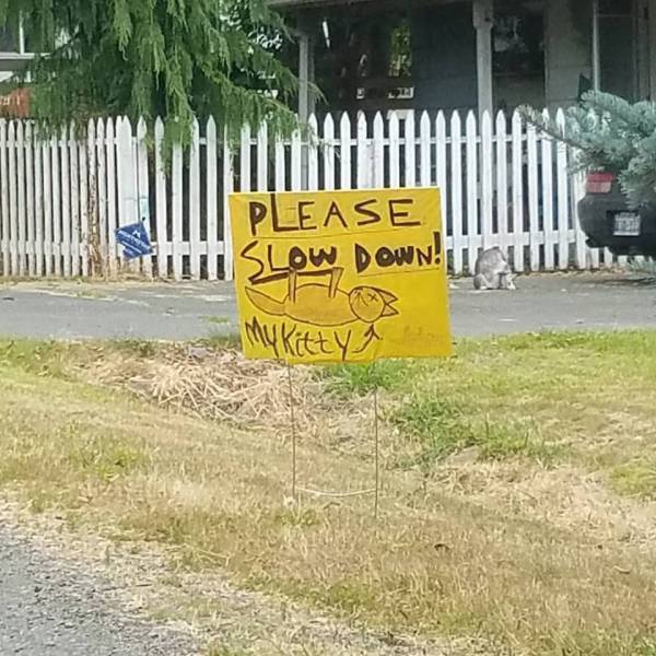 Daily Picdump [WEEKEND EDITION]