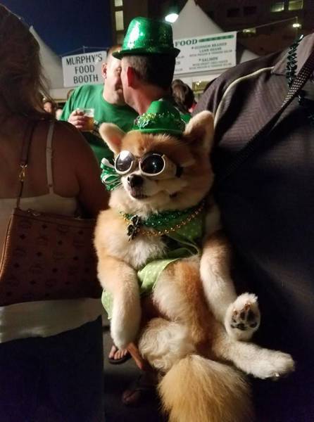 daily picdump weekend edition 71 pics 19.html - 71 HD Photos | Premium Gallery 2017