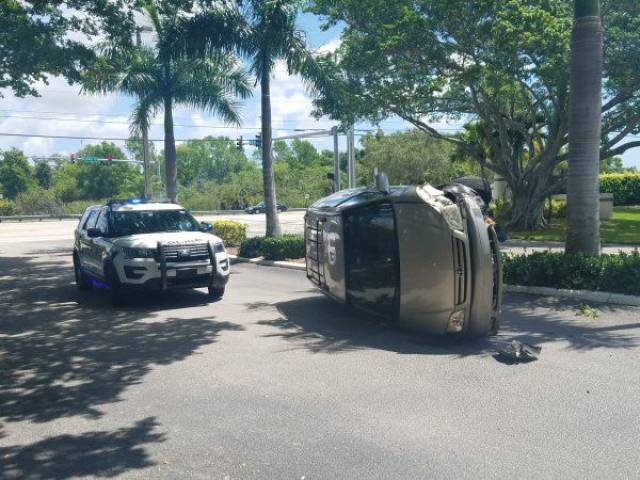 daily picdump weekend edition 71 pics 19.html - 71 HD Photos | Premium Gallery 2017