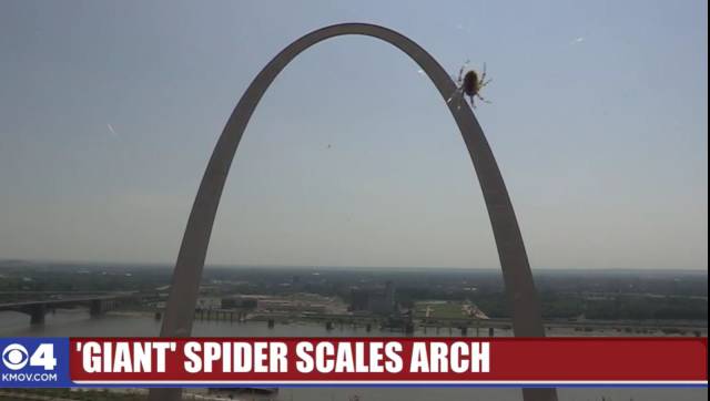 daily picdump weekend edition 71 pics 19.html - 71 HD Photos | Premium Gallery 2017