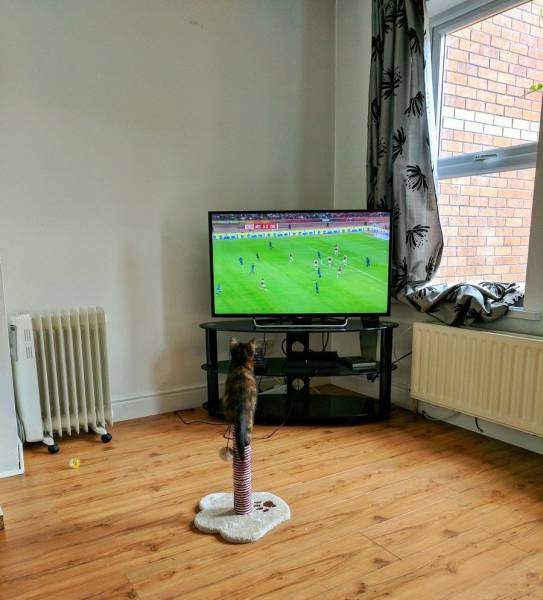 daily picdump 95 pics 25.html - 95 HD Photos | Premium Gallery 2017