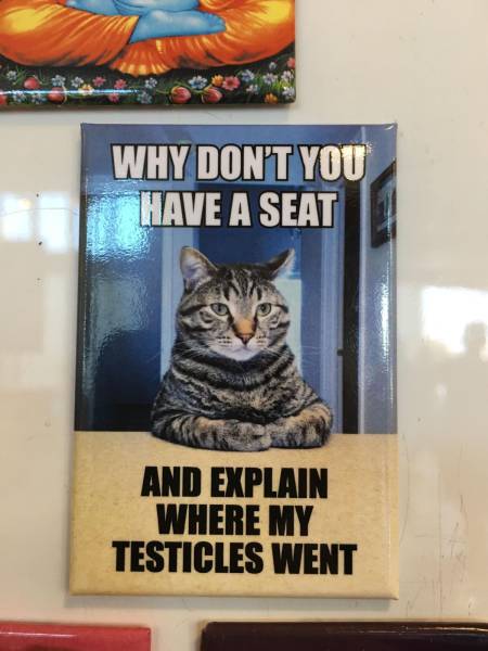 daily picdump 95 pics 25.html - 95 HD Photos | Premium Gallery 2017