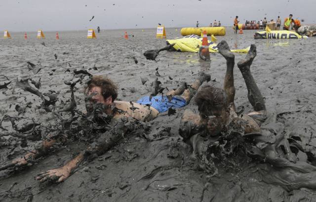 daily picdump 95 pics 25.html - 95 HD Photos | Premium Gallery 2017