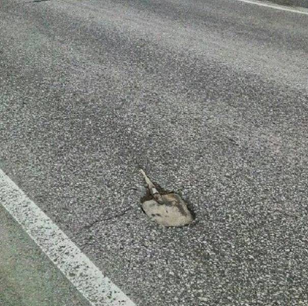 Damn, Almost Nailed It