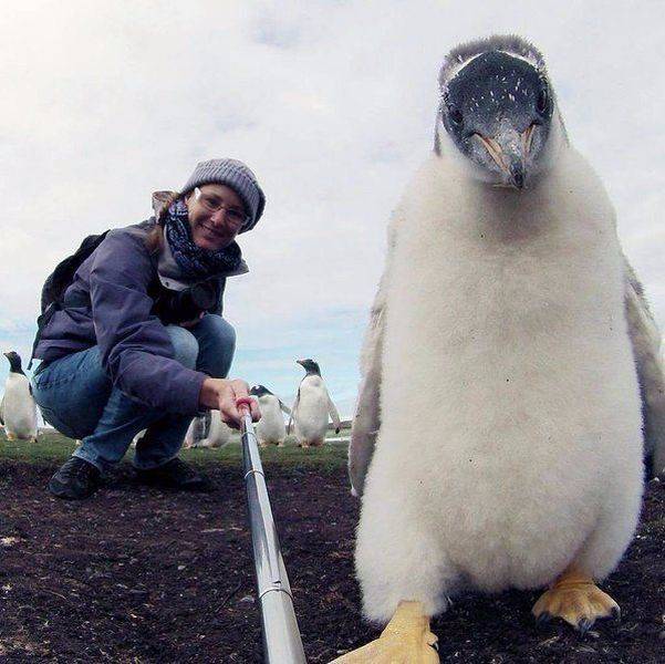 daily picdump 95 pics 9.html - 95 HD Photos | Premium Gallery 2017