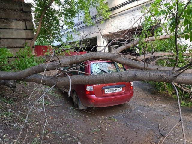 daily picdump 95 pics 9.html - 95 HD Photos | Premium Gallery 2017