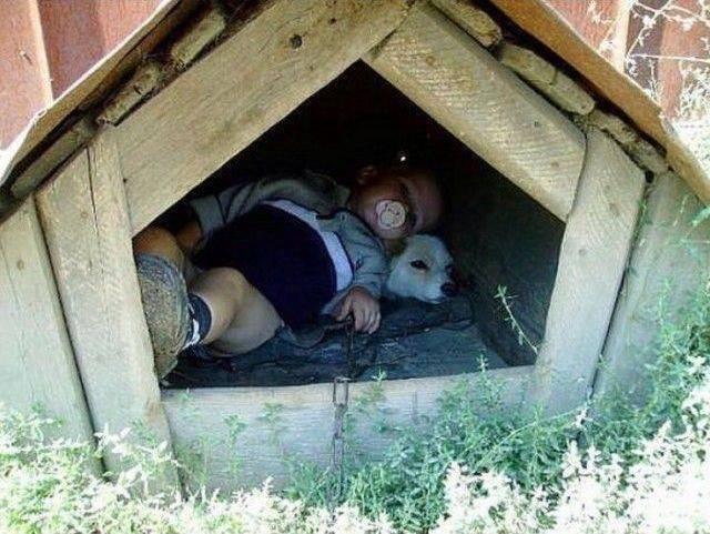 daily picdump 95 pics 9.html - 95 HD Photos | Premium Gallery 2017