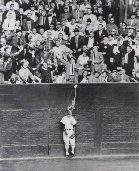 daily picdump 95 pics 9.html - 95 HD Photos | Premium Gallery 2017