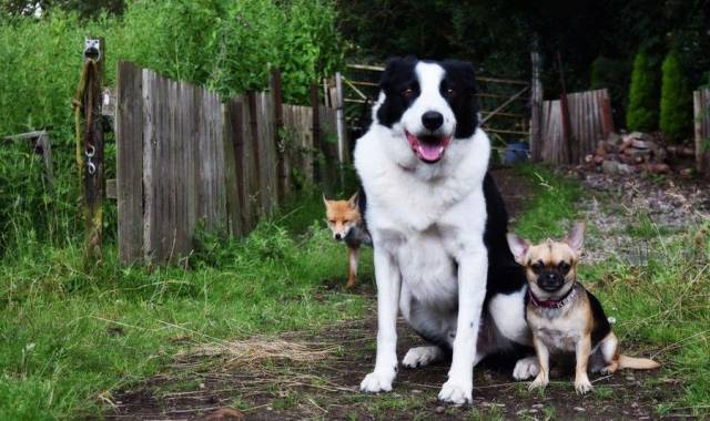 daily picdump 95 pics 9.html - 95 HD Photos | Premium Gallery 2017