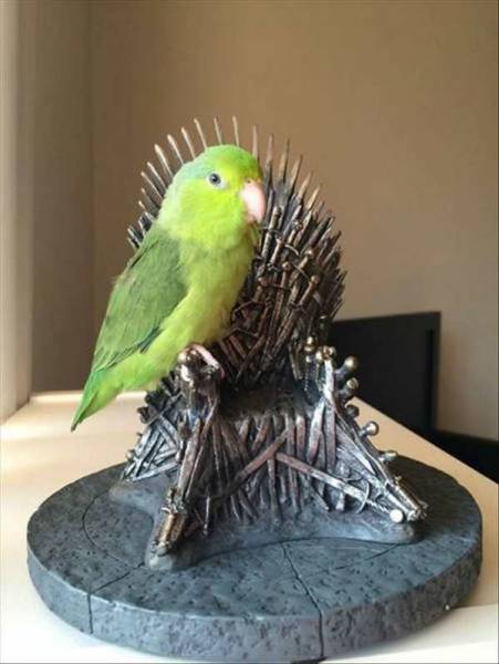 daily picdump 95 pics 9.html - 95 HD Photos | Premium Gallery 2017