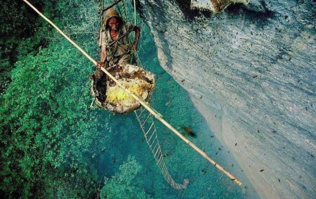 daily picdump 95 pics 9.html - 95 HD Photos | Premium Gallery 2017